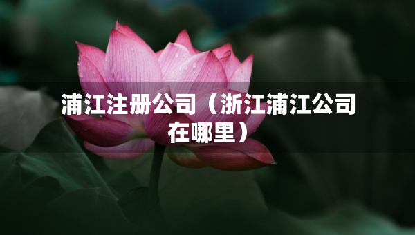 浦江注册公司（浙江浦江公司在哪里）