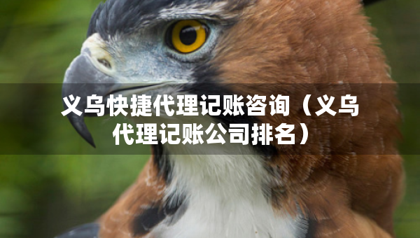 义乌快捷代理记账咨询（义乌代理记账公司排名）