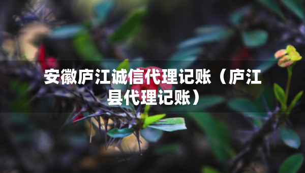 安徽庐江诚信代理记账（庐江县代理记账）