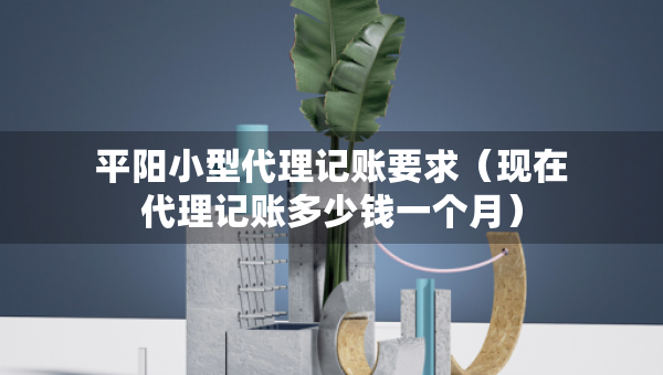 平阳小型代理记账要求（现在代理记账多少钱一个月）