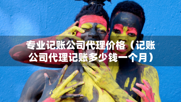 专业记账公司代理价格（记账公司代理记账多少钱一个月）