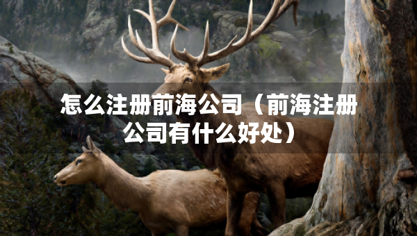 怎么注册前海公司（前海注册公司有什么好处）