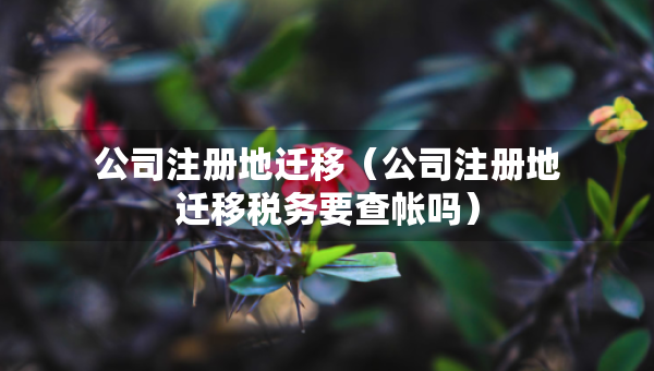 公司注册地迁移（公司注册地迁移税务要查帐吗）