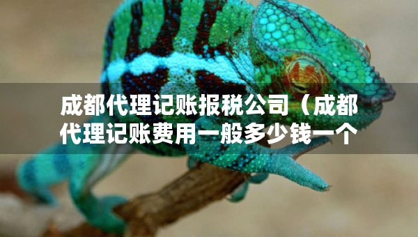 成都代理记账报税公司（成都代理记账费用一般多少钱一个月）