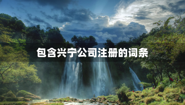 包含兴宁公司注册的词条