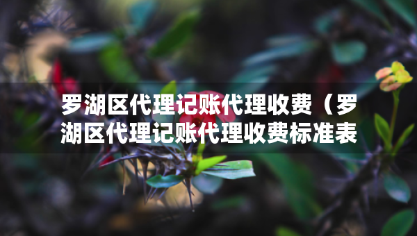 罗湖区代理记账代理收费（罗湖区代理记账代理收费标准表）