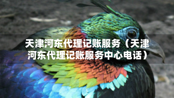 天津河东代理记账服务（天津河东代理记账服务中心电话）