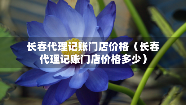 长春代理记账门店价格（长春代理记账门店价格多少）