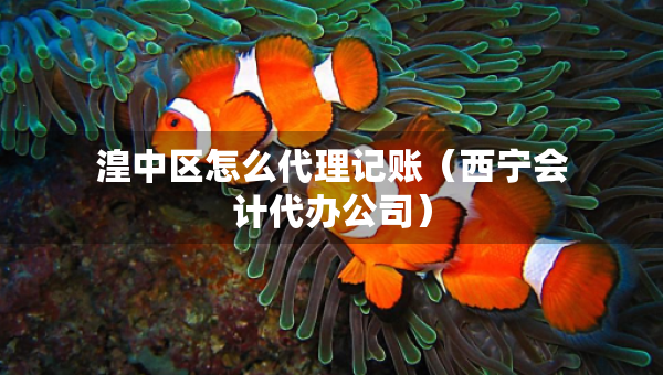 湟中区怎么代理记账（西宁会计代办公司）