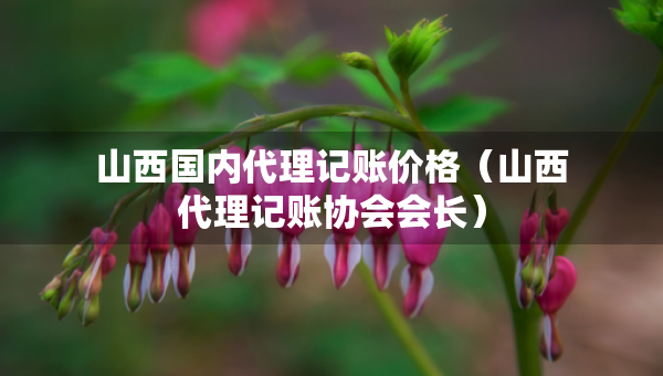 山西国内代理记账价格（山西代理记账协会会长）