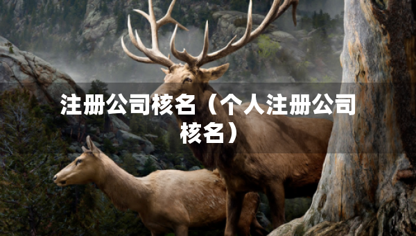 注册公司核名（个人注册公司核名）