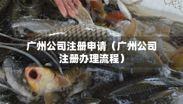 广州公司注册申请（广州公司注册办理流程）