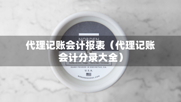 代理记账会计报表（代理记账会计分录大全）