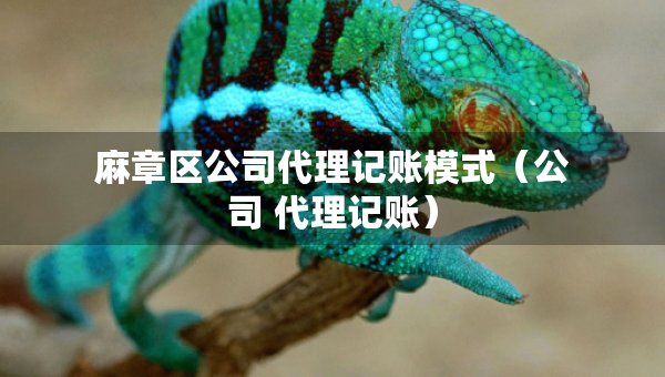 麻章区公司代理记账模式(公司 代理记账) 麻章区公司代理记账模式(公司 代理记账)