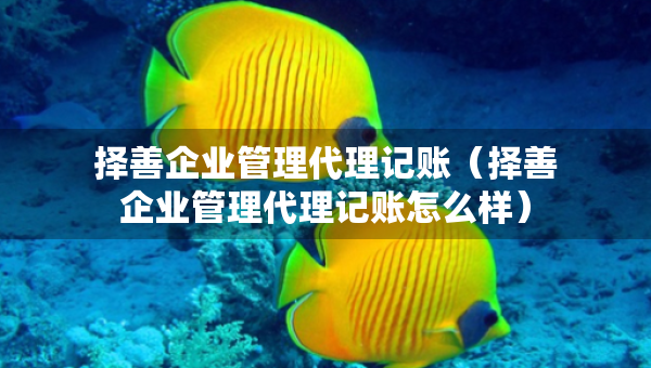 择善企业管理代理记账（择善企业管理代理记账怎么样）