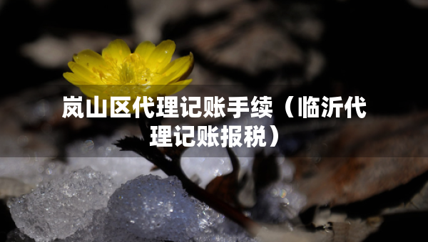 岚山区代理记账手续（临沂代理记账报税）