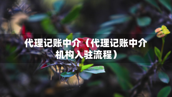 代理记账中介（代理记账中介机构入驻流程）