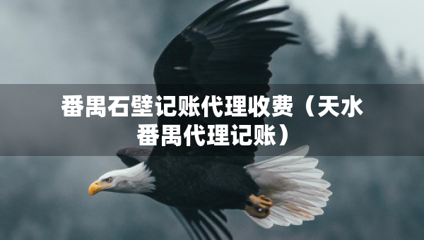 番禺石壁记账代理收费（天水番禺代理记账）