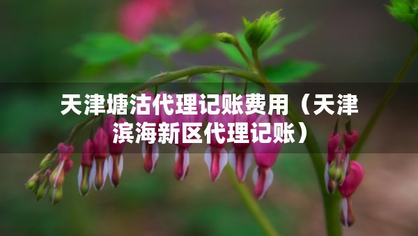 天津塘沽代理记账费用（天津滨海新区代理记账）
