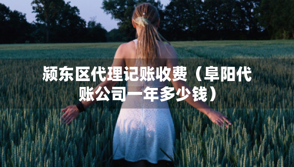 颍东区代理记账收费（阜阳代账公司一年多少钱）