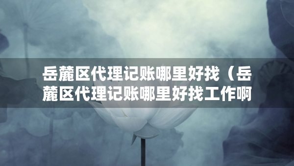 岳麓区代理记账哪里好找（岳麓区代理记账哪里好找工作啊）