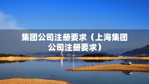 集团公司注册要求（上海集团公司注册要求）