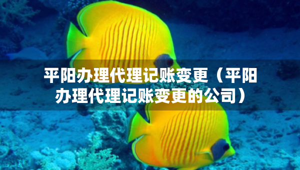 平阳办理代理记账变更（平阳办理代理记账变更的公司）