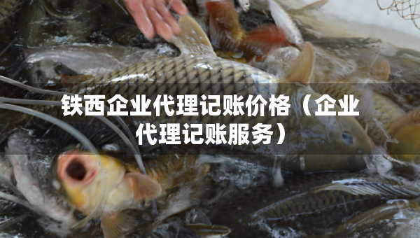 铁西企业代理记账价格（企业代理记账服务）