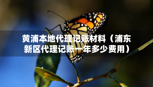 黄浦本地代理记账材料（浦东新区代理记账一年多少费用）