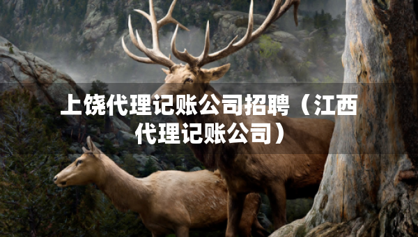 上饶代理记账公司招聘（江西代理记账公司）