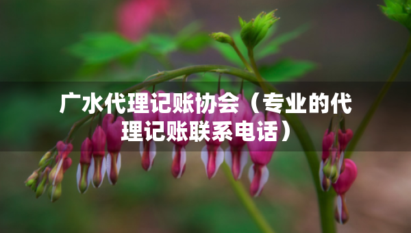 广水代理记账协会（专业的代理记账联系电话）