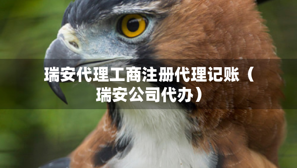 瑞安代理工商注册代理记账（瑞安公司代办）