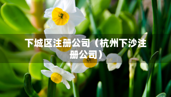 下城区注册公司（杭州下沙注册公司）
