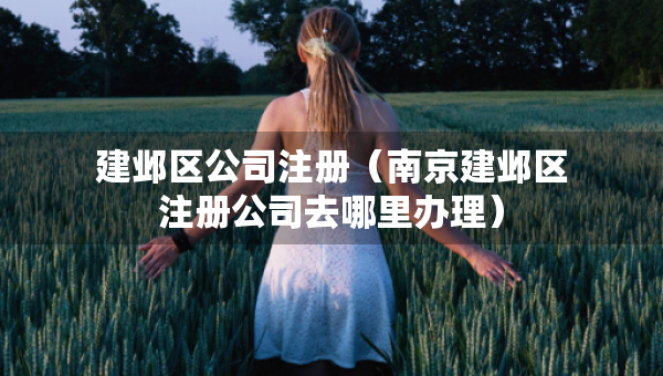 建邺区公司注册（南京建邺区注册公司去哪里办理）