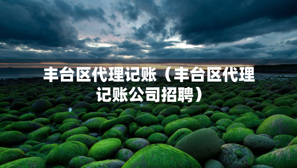丰台区代理记账（丰台区代理记账公司招聘）