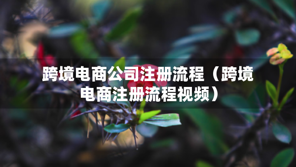 跨境电商公司注册流程（跨境电商注册流程视频）