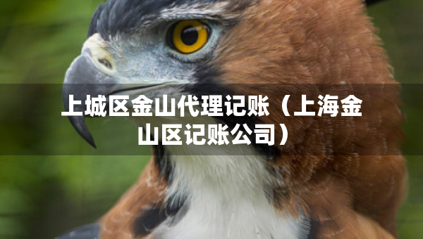 上城区金山代理记账（上海金山区记账公司）
