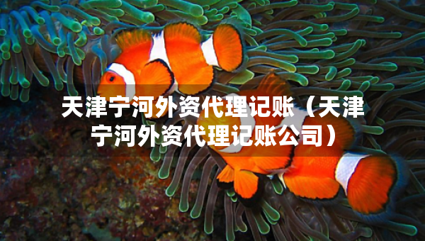 天津宁河外资代理记账（天津宁河外资代理记账公司）