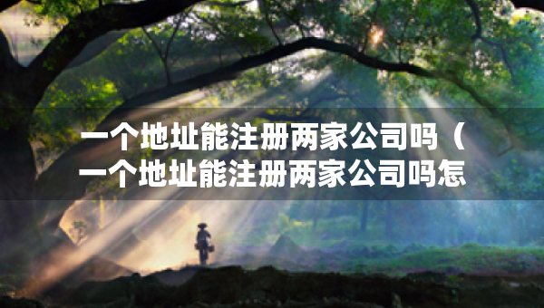 一个地址能注册两家公司吗（一个地址能注册两家公司吗怎么注册）