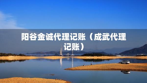 阳谷金诚代理记账（成武代理记账）