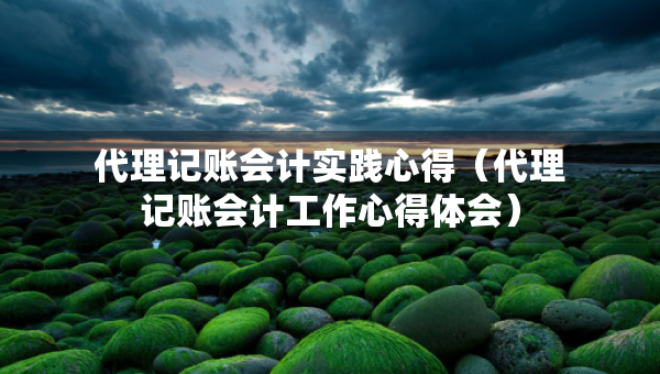 代理记账会计实践心得（代理记账会计工作心得体会）