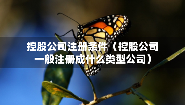 控股公司注册条件（控股公司一般注册成什么类型公司）