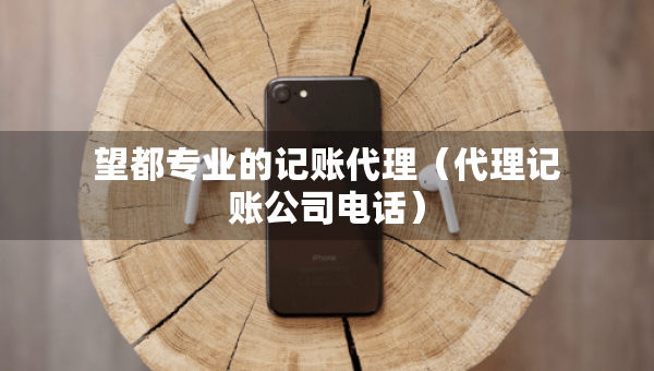 望都专业的记账代理（代理记账公司电话）