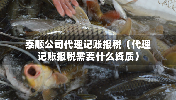 泰顺公司代理记账报税（代理记账报税需要什么资质）