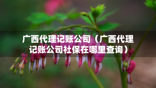 广西代理记账公司（广西代理记账公司社保在哪里查询）