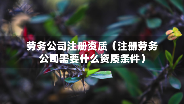 劳务公司注册资质（注册劳务公司需要什么资质条件）