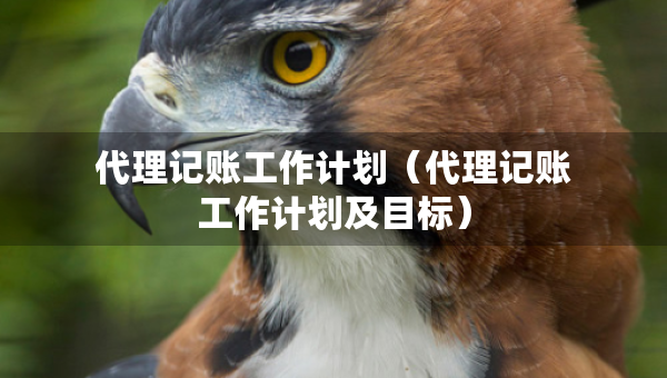 代理记账工作计划（代理记账工作计划及目标）