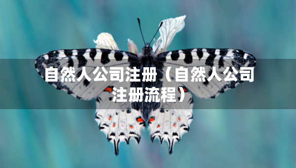 自然人公司注册（自然人公司注册流程）