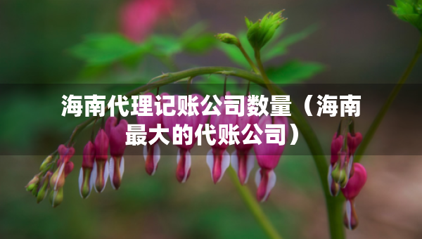 海南代理记账公司数量（海南最大的代账公司）