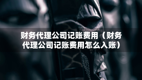 财务代理公司记账费用（财务代理公司记账费用怎么入账）